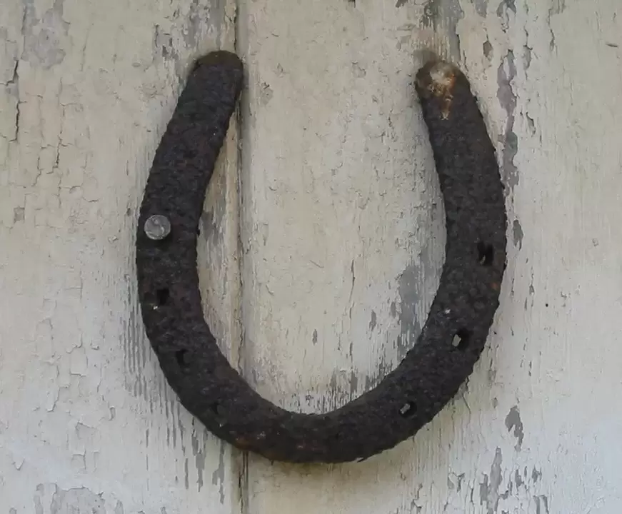amulet fortune horseshoe