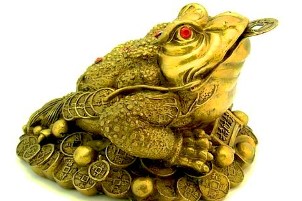 money is the magic toad,